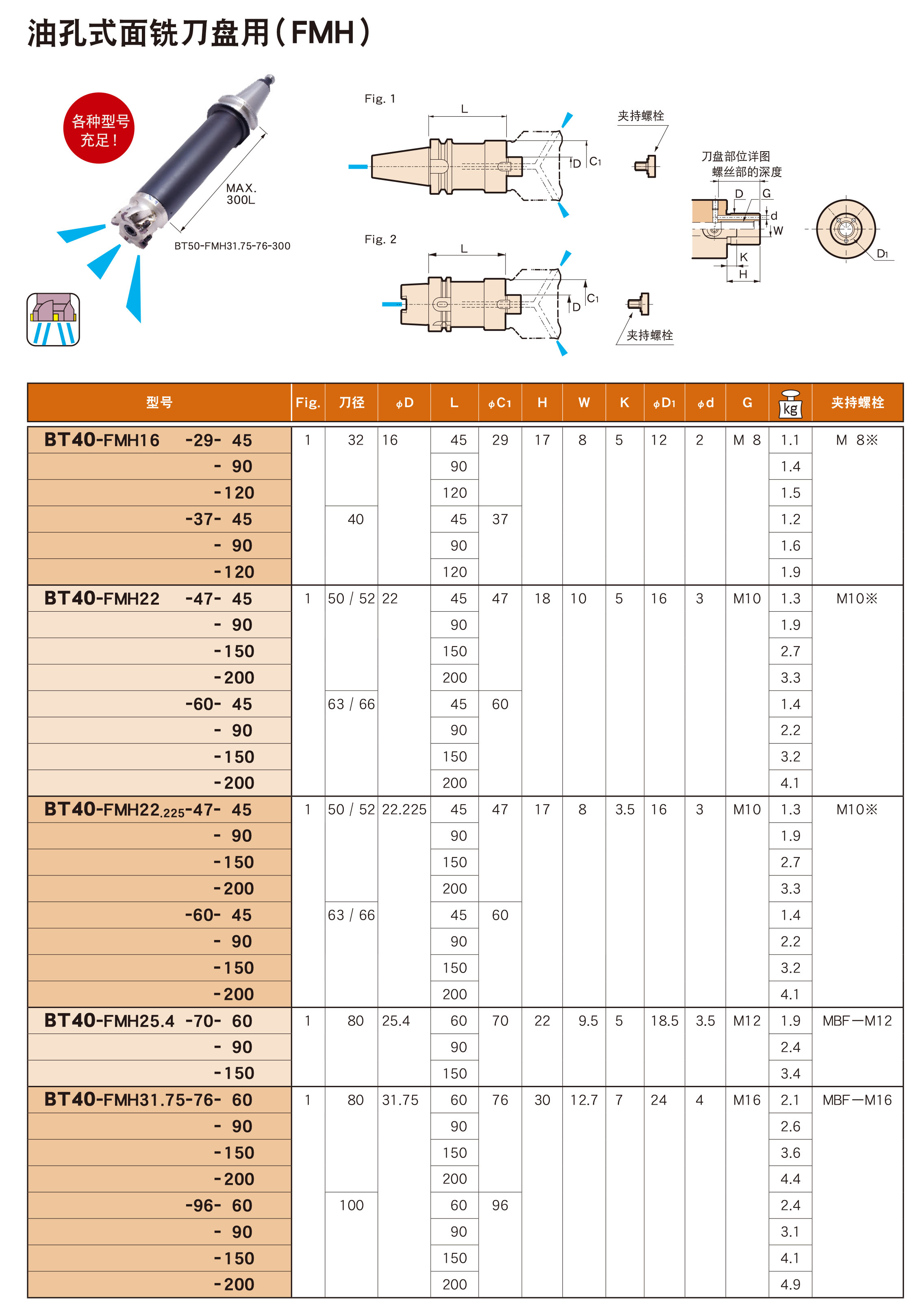 油孔式面銑刀盤(pán)用（FMH）